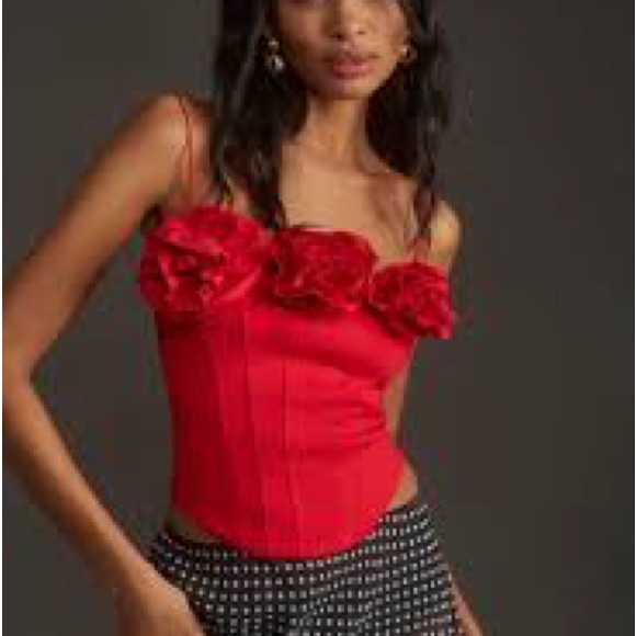 Anthropologie Sunday in Brooklyn corset top - Picture 2 of 4